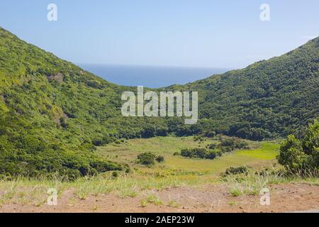 Reserva Florestal de Recreio do Monte Brasil. Vista sul verde dei talloni. Terceira, Azzorre Portogallo. Foto Stock