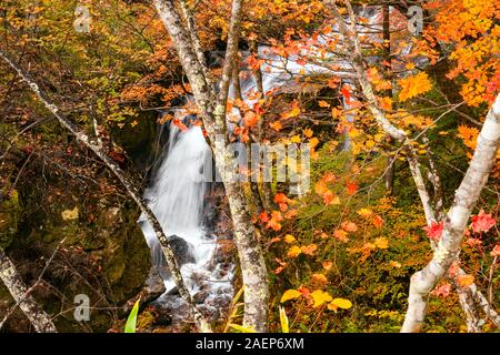La cascata nel fiume Yukawa nel colorato fogliame di autunno foresta presso la città di Nikko nella Prefettura di Tochigi, Giappone. Foto Stock