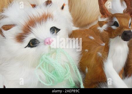 I peluche gattini seduti nella parte anteriore della fotocamera Foto Stock