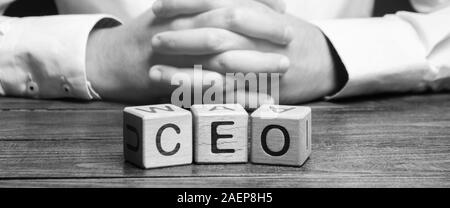 Blocchi di legno con la parola CEO e imprenditore. Chief Executive Officer. Il Boss, il top management posizione in un team o dell'azienda. Leader, leadership. Busi Foto Stock