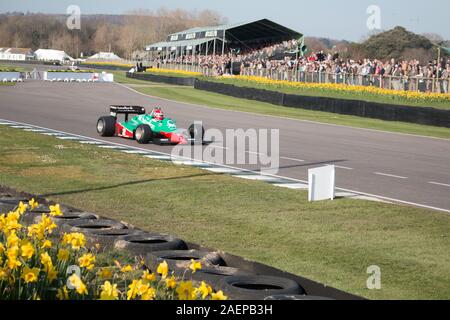 Riunione dei membri del Chichester West Sussex, corse automobilistiche Goodwood Foto Stock