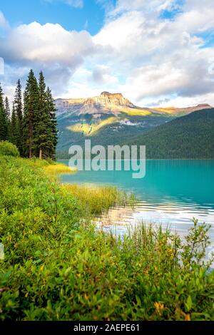 Bella riflessione al Lago Smeraldo nel Parco Nazionale di Yoho, British Columbia, Canada Foto Stock