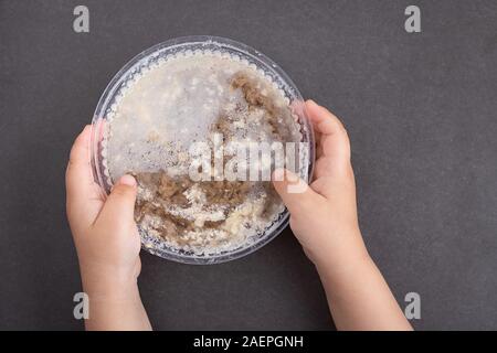 Brodo di osso realizzato da carne di pollo o carne di maiale o di manzo nel contenitore, con carote, cipolle su sfondo chiaro Foto Stock