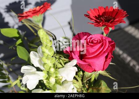 Bouquet di rose rosa, rosso gerbera e piccoli fiori bianchi. Vivace e colorato e fiori romantici sono perfetti per eventi come il giorno di San Valentino Foto Stock