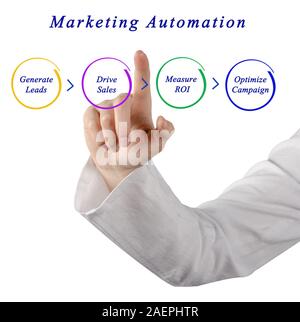 Processo di automazione del marketing Foto Stock