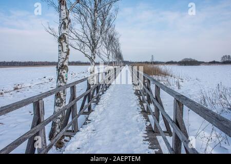 Federseesteg bei Bad Buchau • Baden-Württemberg, Deutschland Foto Stock