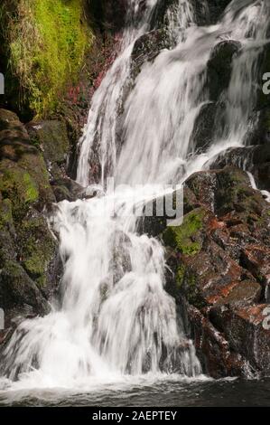 Saut du Bouchot cascata (28m), Vosges (88), il Grand regione Est, Francia Foto Stock