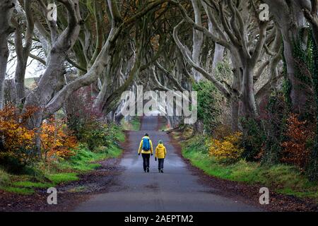 Madre e figlio in giacche gialle a camminare in mezzo alla strada del famoso Dark siepi, Irlanda del Nord, Regno Unito Foto Stock