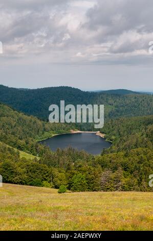 La Lande lago da la route des Cretes, Vosges (88), il Grand regione Est, Francia Foto Stock