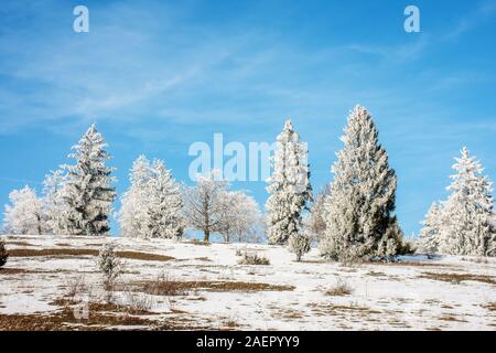 Winterstimmung Am Sandberg - Inverno umore Sandberg • Baden-Württemberg, Deutschland Foto Stock