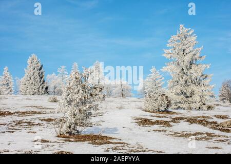 Winterstimmung Am Sandberg - Inverno umore Sandberg • Baden-Württemberg, Deutschland Foto Stock