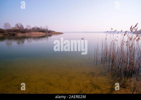 Lago di Madine, Heudicourt-sous-les-Cotes, Lorena Parco naturale regionale, della Mosa (55), il Grand Est, Francia Foto Stock