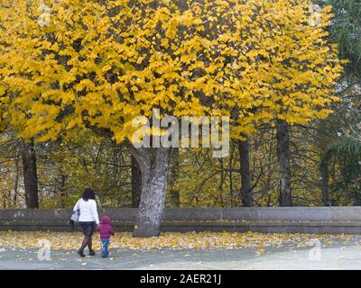 Donna che cammina con il suo bambino sotto autumn tree, Santuario di Nostra Signora dei Rimedi, Lamego comune, distretto di Viseu, Portogallo settentrionale, Portogallo Foto Stock