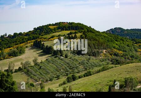 Montone è una piccola collina villaggio in Umbria, Italia, circondato da colline e fattorie. Foto Stock