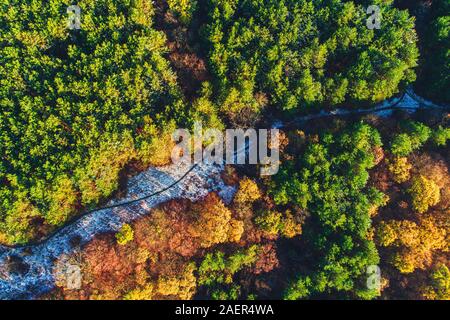 Vista aerea del frozenroad nella foresta di pini e abeti in montagna. Foto Stock