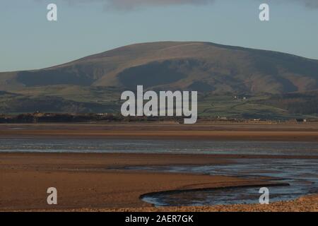 Regno Unito Sandscale Haws, Riserva Naturale Nazionale, Roanhead, Cumbria Regno Unito Foto Stock