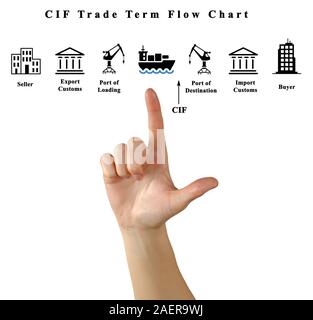 Commercio CIF Termine Diagramma di flusso Foto Stock