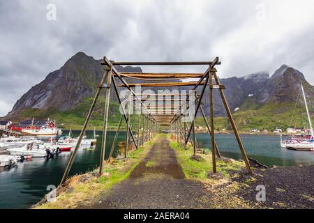 Cod essiccatore a Reine, il villaggio di pescatori è situato sull'isola di Moskenesoya nell'arcipelago delle Lofoten, al di sopra del Circolo Polare Artico, Norvegia. Foto Stock