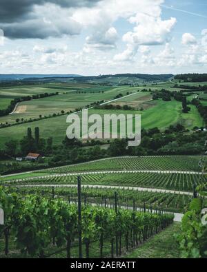 Blick über die Weinfelder beim Hörnle in der Nähe von Dürrenzimmern Foto Stock