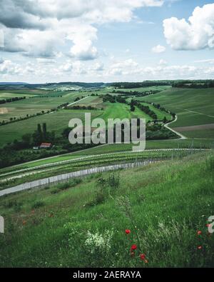 Blick über die Weinfelder beim Hörnle in der Nähe von Dürrenzimmern Foto Stock