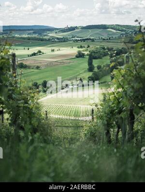 Blick über die Weinfelder beim Hörnle in der Nähe von Dürrenzimmern Foto Stock