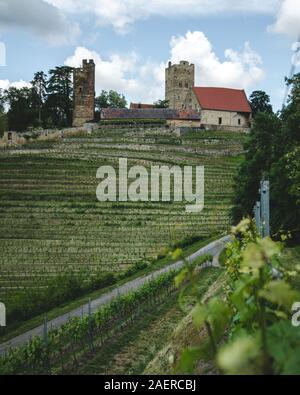 Burg Neipperg nel bellissimo parco nazionale di Stromberg-Heuchelberg Foto Stock