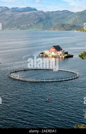 Gabbie galleggianti nel fiordo a un salmone di allevamento, Hardangerfjord a nord di Rosendal, Hordaland County, Norvegia Foto Stock