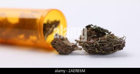 Vaso in plastica con farmaco alle erbe Foto Stock