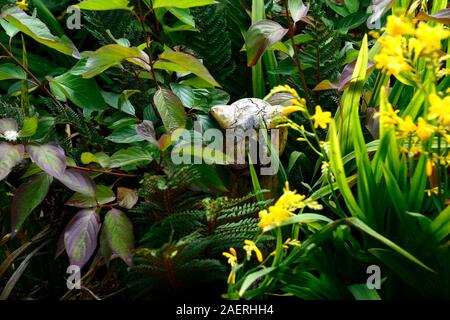 Jaguar statua,ornamento,Garden includono,tropical,jungle,jungle come,giardino,giardino,RM Floral Foto Stock