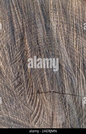 Side-lit chainsaw segna la cicatrizzazione della superficie di taglio di un tronco di albero.altamente astratta texture. Insolita metafora visiva per la registrazione e la silvicoltura metafora. Foto Stock