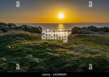 Tramonto sopra le cime della scogliera di testa Hengistbury, Bournemouth con le alte erbe costiere essendo illuminata e la riflessione del sole attraverso il mare. Foto Stock