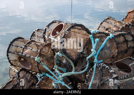 Aragosta e granchio pentole su un dock. La Galizia, Spagna Foto Stock