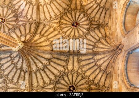 Vaulting ventilatore al soffitto scalinata che conduce alla sala della Chiesa di Cristo, Oxford, è stato installato nel 1638. Foto Stock