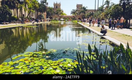 San Diego, California/USA - Agosto 12, 2019 Balboa Park Lily Pond e Giardino Botanico. Foto Stock