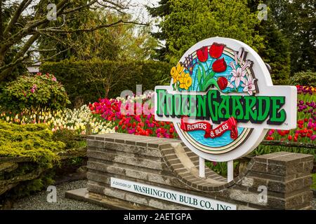 Letti di fiori al display Roozengaarde giardini vicino a Mount Vernon, Washington, Stati Uniti d'America. Foto Stock