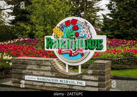 Letti di fiori al display Roozengaarde giardini vicino a Mount Vernon, Washington, Stati Uniti d'America. Foto Stock