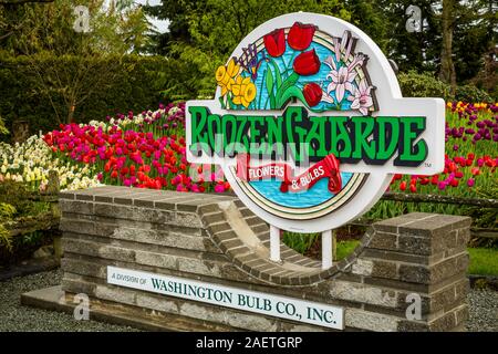 Letti di fiori al display Roozengaarde giardini vicino a Mount Vernon, Washington, Stati Uniti d'America. Foto Stock