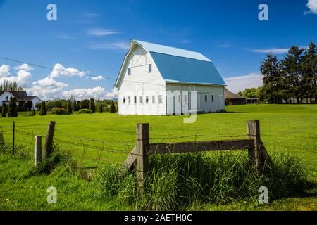 Una farm barn in Skagit River Valley, vicino a Mount Vernon, Washington, Stati Uniti d'America. Foto Stock