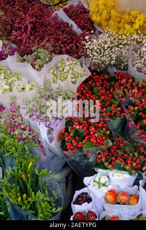 Mazzi di fiori per la vendita su un mercato dei fiori ad Hanoi, Vietnam Foto Stock