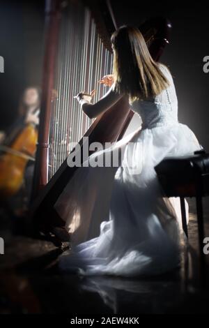 Ragazza che gioca la cetra sul palco durante un concerto Foto Stock