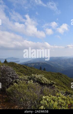 Distante vedute di San Francisco emergere dalla nebbia dalla sommità del Mt. Tamalpais, il punto più in alto a Marin County, California, Stati Uniti d'America. Foto Stock