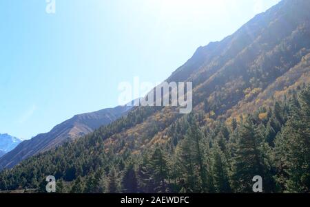 Fotografia di paesaggi di montagna valle coperta con alberi forestali nel tramonto. La luce del sole illuminando la superficie boschiva. La natura dello sfondo. Grande. Himal Foto Stock