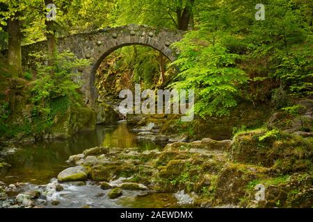 Foley il ponte sopra il fiume Shimna in Tollymore Forest Park, Irlanda del Nord. Foto Stock