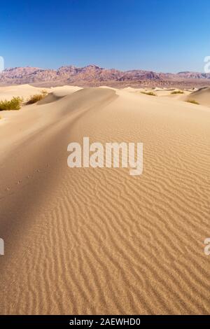 Il Mesquite Flat dune di sabbia nel Parco Nazionale della Valle della Morte, California, Stati Uniti d'America. Foto Stock