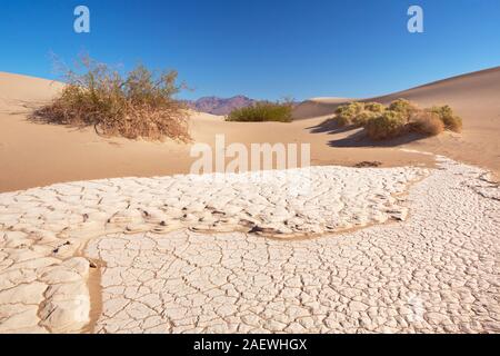 Il Mesquite Flat dune di sabbia nel Parco Nazionale della Valle della Morte, California, Stati Uniti d'America. Foto Stock