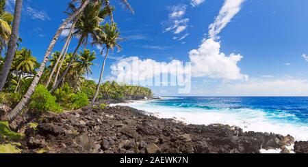 Palme e rocce laviche litorale sulla costa sud-orientale della Puna, Big Island delle Hawaii, Stati Uniti d'America. Foto Stock