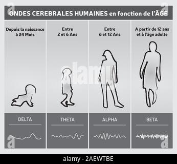 Cervello umano onde da età schema grafico - Persone sagome - Lingua Francese - bianco e nero Illustrazione Vettoriale