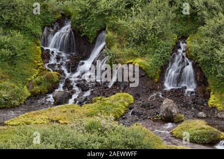 Hraunfossar (Borgarfjrur, western Islanda) è una serie di cascate formate da ruscelletti streaming su una distanza di circa 900 metri fuori della Hallm Foto Stock