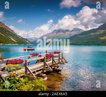 Sole estivo di scena sul lago Silsersee con yacht e fiori che sbocciano. Distretto di Maloja, cantone svizzero dei Grigioni, Svizzera, Alpi, l'Europa. Foto Stock