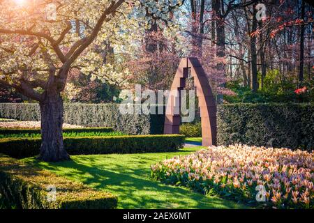 Sakura in fiore nei Giardini Keukenhof. Coloratissima primavera scena in Olanda, l'Europa. Foto Stock